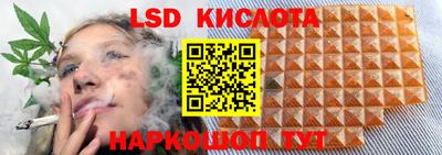 хмурый Донской