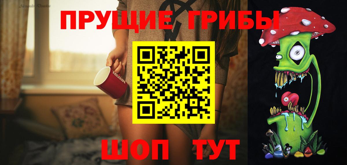 Псилоцибиновые грибы Psilocybe  наркота  Миллерово  Псилоцибиновые грибы GOLDEN TEACHER  Вход с VPN 